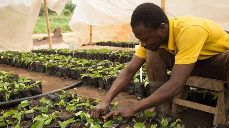 nasikiliza-climate-smart-agriculture-lessons-from-africa-for-the-world-v2-780x439
