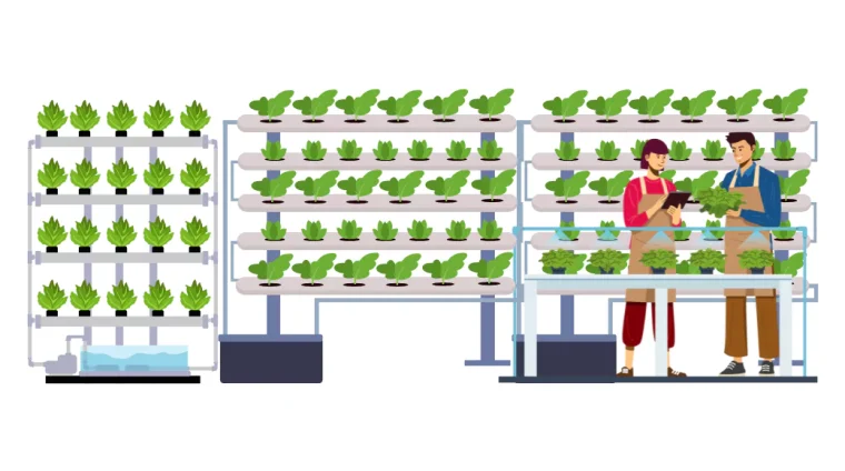 6891702a6345ea6ba867f8d6_ps-au-certificate-in-vertical-farming-68906c97be1a5