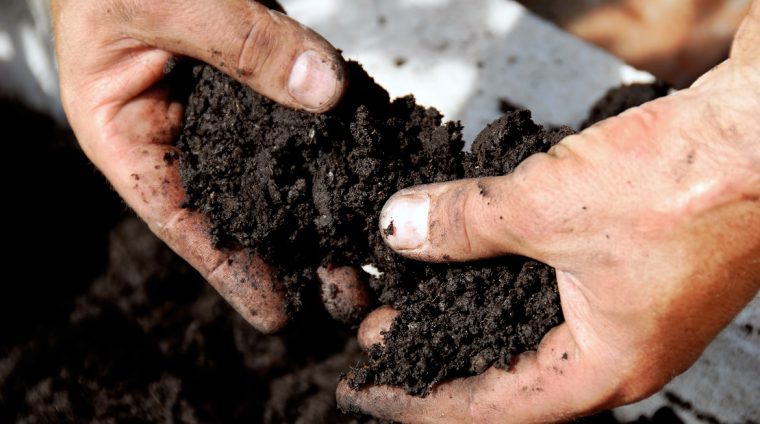 black soil in man hand closeup outdoor
