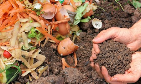 compost_intro_image3259135916375310554