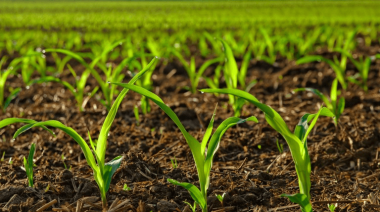 global-crop-production-market