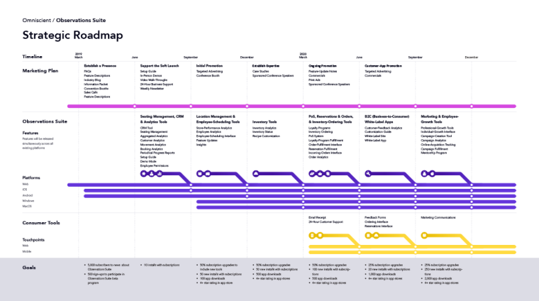 img_observations_strategicroadmap