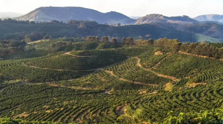 sustainable-agricultural-banking-program_780x439 (1)