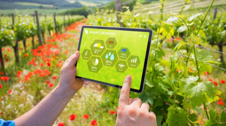 training-course-on-agriculture-entrepreneurship-business-plan-and-innovation