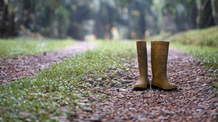 yellow-wellies